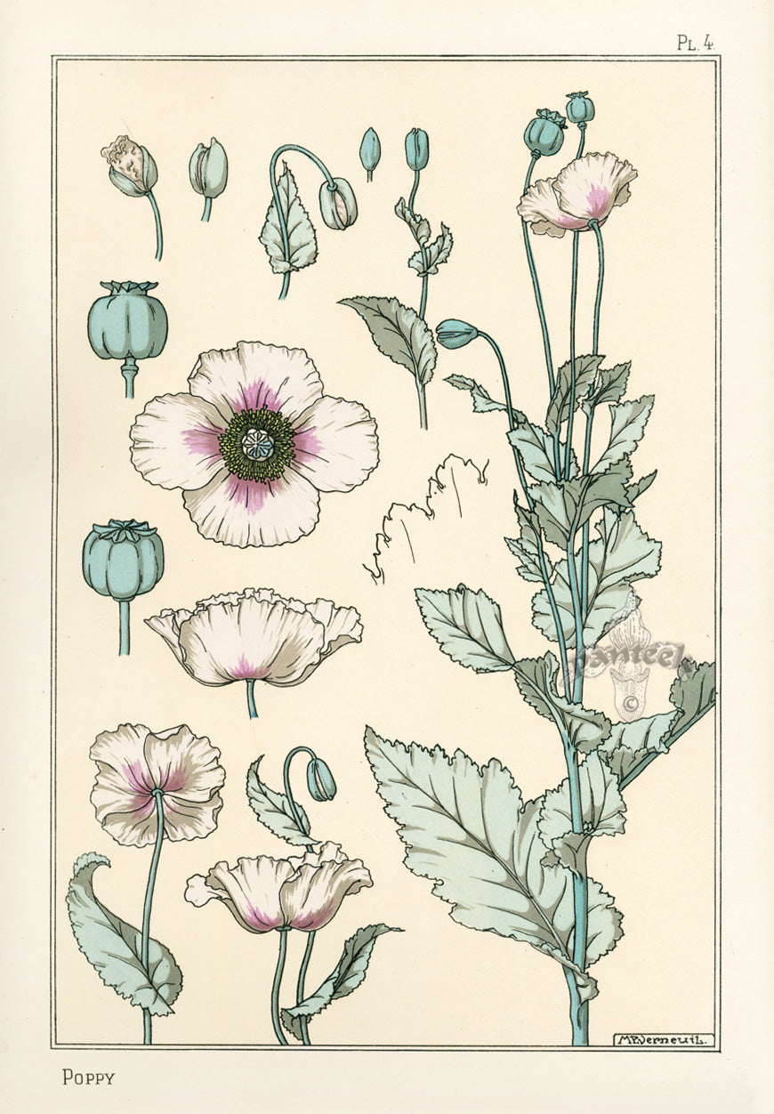 Eugene Grasset Pochoir Prints 1896 Poppy