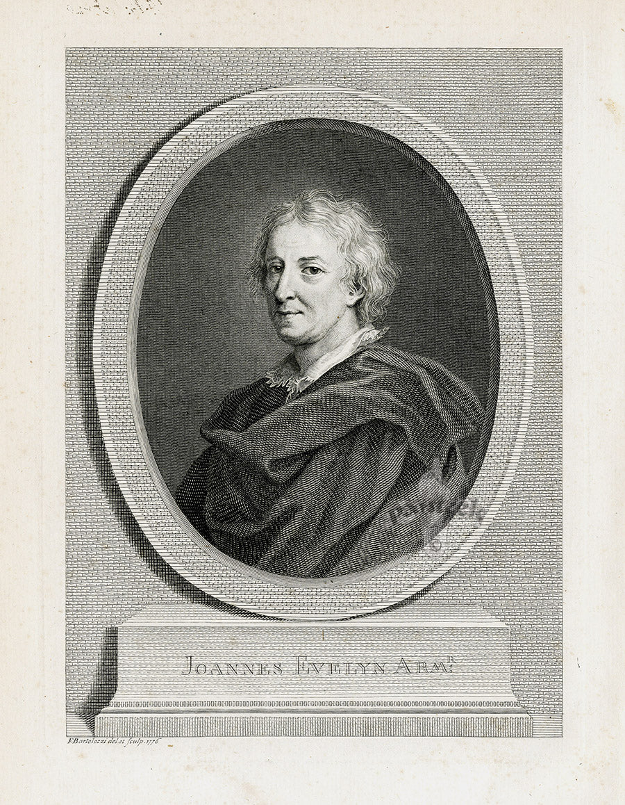 Evelyn Sylva Original Tree Engraving 1786 Title Page