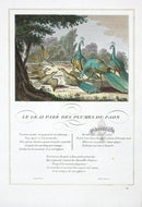 Fables de La Fontaine French Story Original Print Jay - Panteek Antique Prints