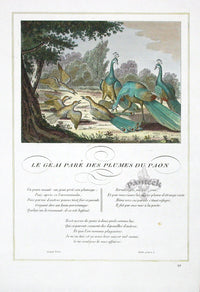 Fables de La Fontaine French Story Original Print Jay - Panteek Antique Prints