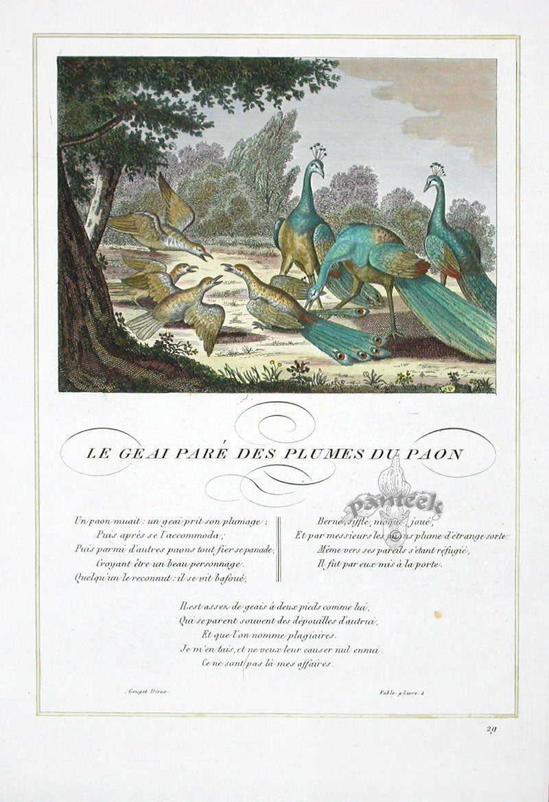 Fables de La Fontaine French Story Original Print Jay
