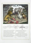 Fables de La Fontaine French Story Original Print Lion - Panteek Antique Prints