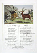 Fables de La Fontaine French Story Original Print Lioness - Panteek Antique Prints