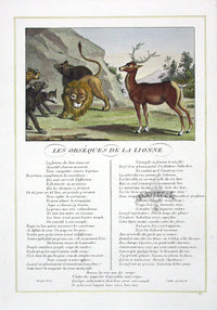 Fables de La Fontaine French Story Original Print Lioness - Panteek Antique Prints