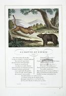 Fables de La Fontaine French Story Original Print Lionness, Bear - Panteek Antique Prints