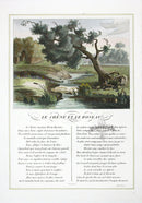 Fables de La Fontaine French Story Original Print Oak, Reed - Panteek Antique Prints