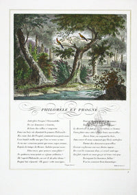Fables de La Fontaine French Story Original Print Philomèle, Progné - Panteek Antique Prints