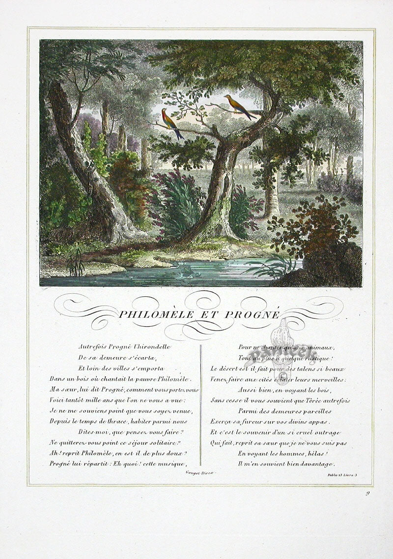 Fables de La Fontaine French Story Original Print Philomèle, Progné