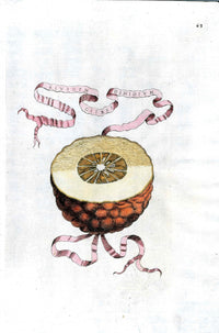 Ferrari Citrus Fruit Print Oranges and Lemons Eiusdem Dimidium Citrei - Panteek Antique Prints