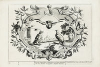 Francis Barlow Diverse Pigeon Species - Panteek Antique Prints