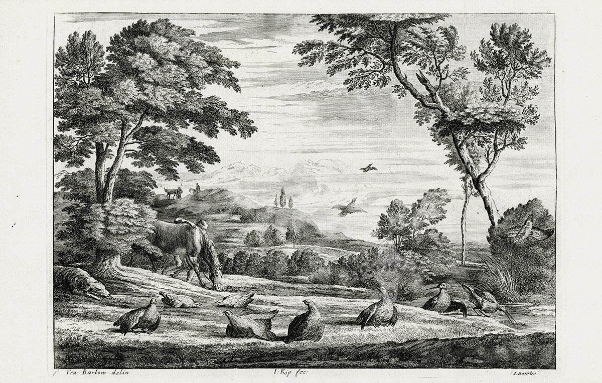 Francis Barlow Game Birds, Water Birds