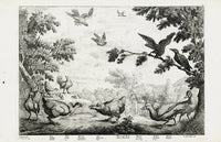 Francis Barlow Hen, Cock, Hawk, Jay - Panteek Antique Prints