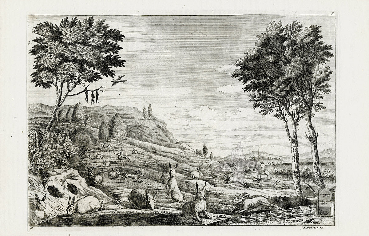 Francis Barlow Preponderance of Rabbits