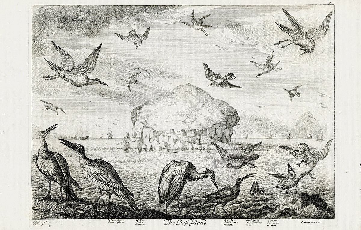 Francis Barlow The Bass Island, Scotland