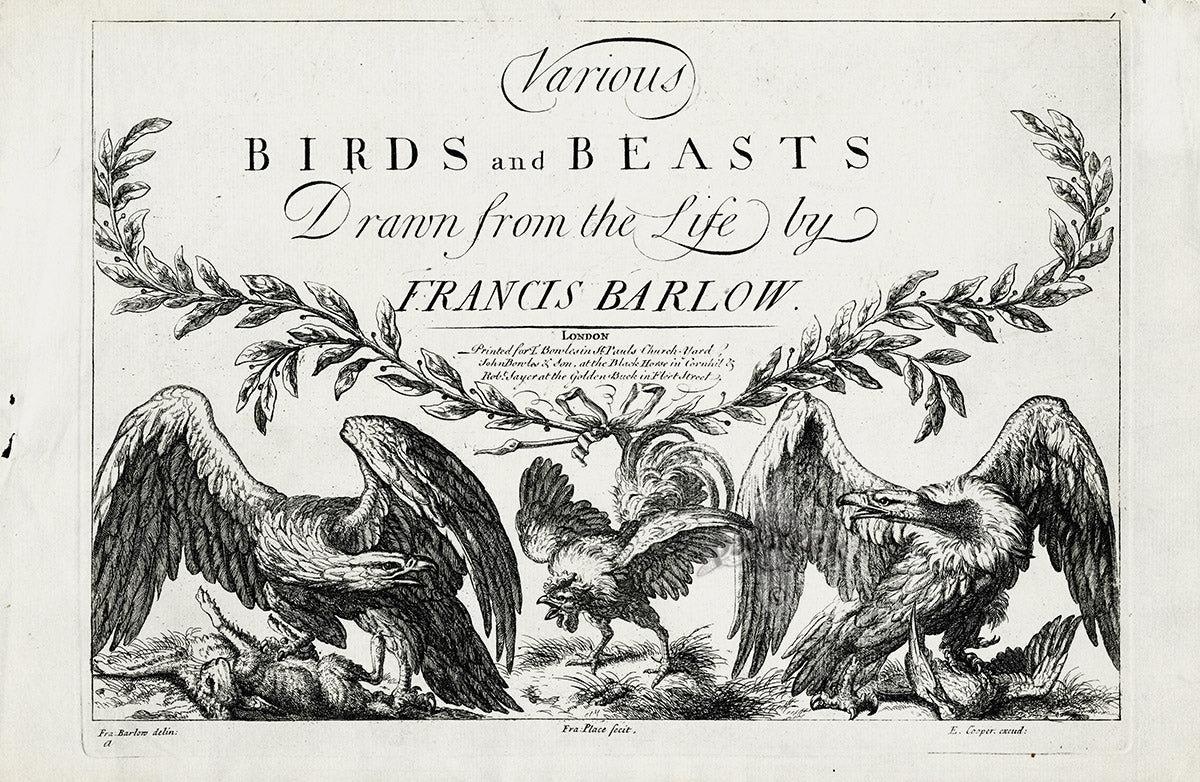 Francis Barlow Various Birds & Beasts Title Page Eagle