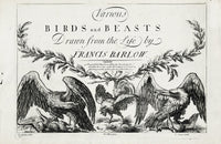 Francis Barlow Various Birds & Beasts Title Page Eagle - Panteek Antique Prints