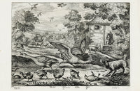 Francis Barlow Wild Goose, Goose, Gosling - Panteek Antique Prints