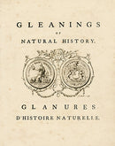 George Edwards Bird Print Title Page - Panteek Antique Prints