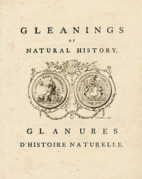 George Edwards Bird Print Title Page - Panteek Antique Prints