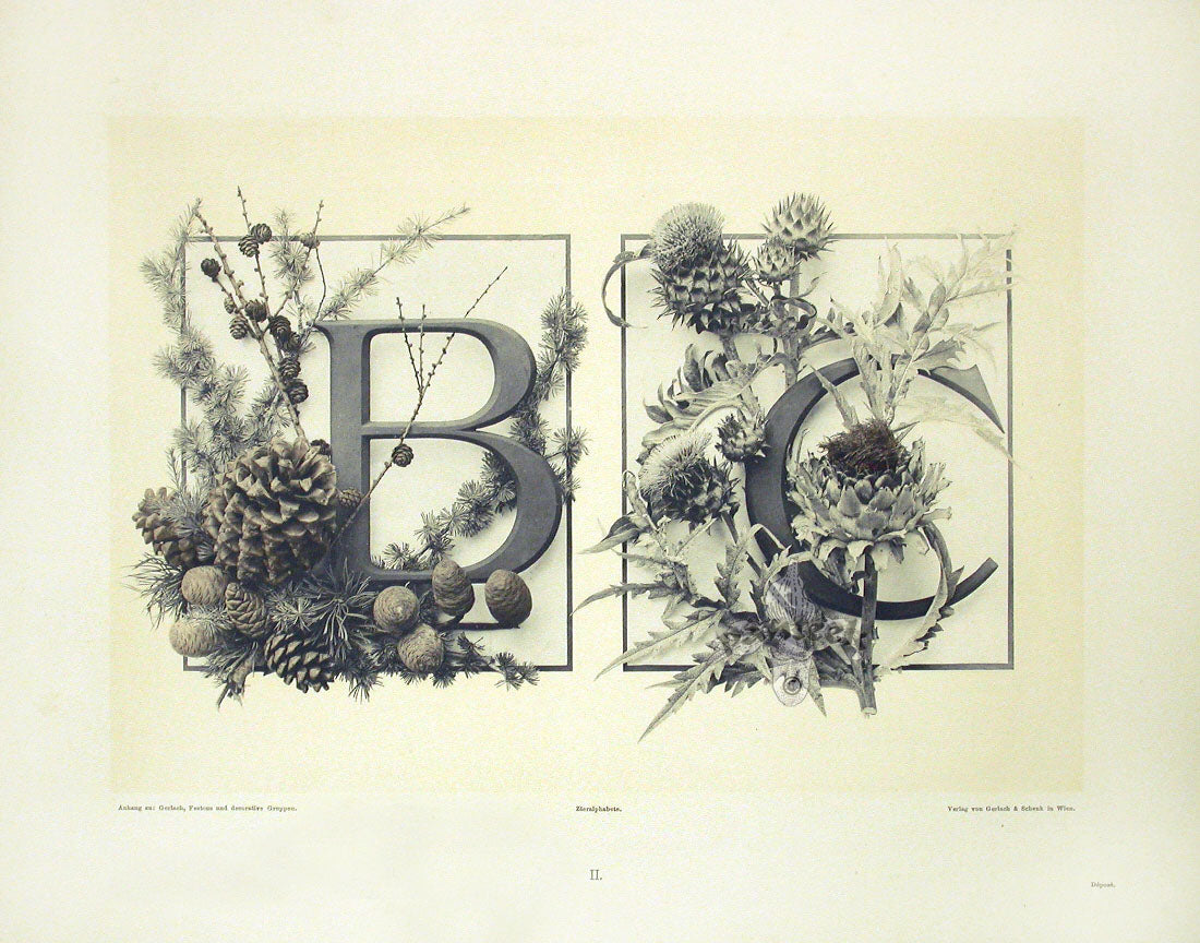 Gerlach & Schenk Antique Alphabet Floral Letters B & C