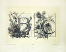 Gerlach & Schenk Antique Alphabet Floral Letters B & C - Panteek Antique Prints