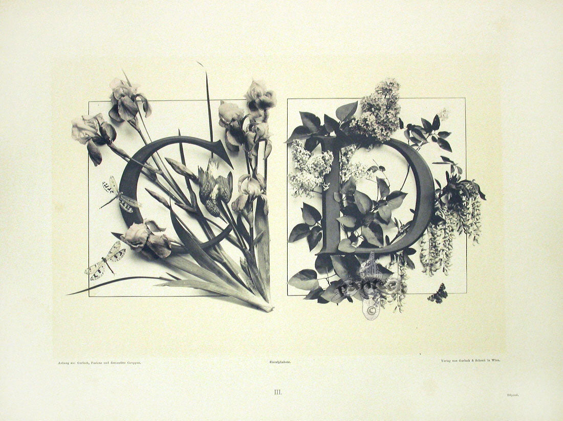 Gerlach & Schenk Antique Alphabet Floral Letters C & D