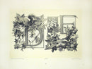 Gerlach & Schenk Antique Alphabet Floral Letters D & E - Panteek Antique Prints