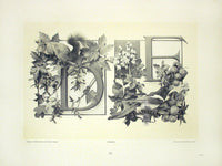Gerlach & Schenk Antique Alphabet Floral Letters D & E - Panteek Antique Prints