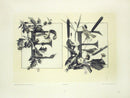 Gerlach & Schenk Antique Alphabet Floral Letters E & F - Panteek Antique Prints