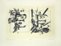Gerlach & Schenk Antique Alphabet Floral Letters E & F - Panteek Antique Prints