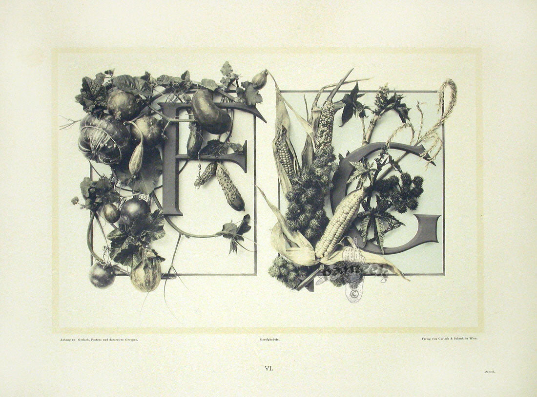 Gerlach & Schenk Antique Alphabet Floral Letters F & G