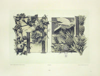 Gerlach & Schenk Antique Alphabet Floral Letters H & I - Panteek Antique Prints