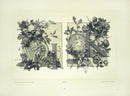 Gerlach & Schenk Antique Alphabet Floral Letters I & K - Panteek Antique Prints