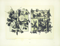 Gerlach & Schenk Antique Alphabet Floral Letters L & M - Panteek Antique Prints