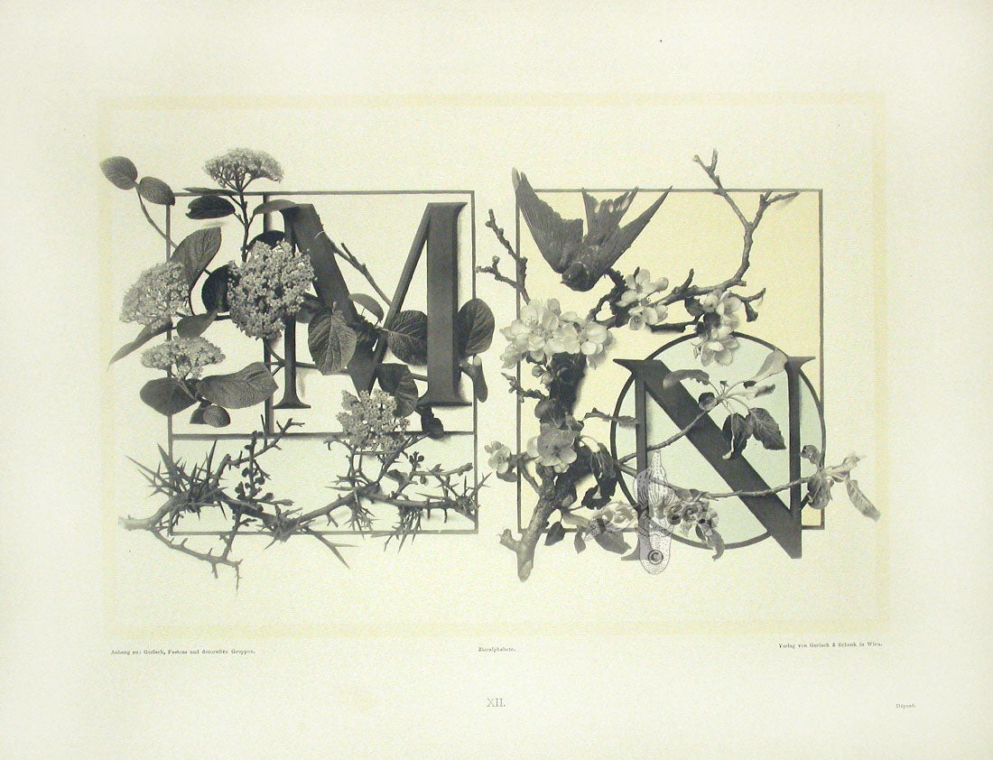 Gerlach & Schenk Antique Alphabet Floral Letters M & N