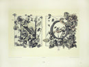 Gerlach & Schenk Antique Alphabet Floral Letters N & O - Panteek Antique Prints