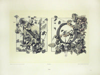 Gerlach & Schenk Antique Alphabet Floral Letters N & O - Panteek Antique Prints