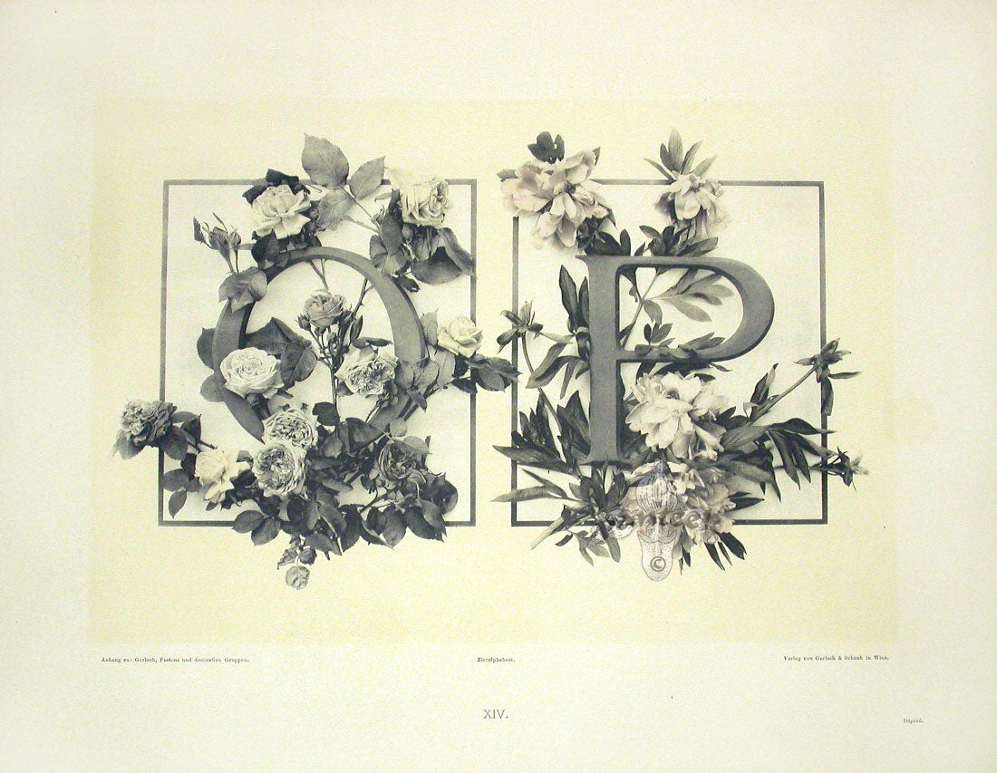 Gerlach & Schenk Antique Alphabet Floral Letters O & P