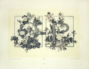 Gerlach & Schenk Antique Alphabet Floral Letters O & P - Panteek Antique Prints