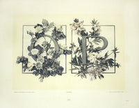 Gerlach & Schenk Antique Alphabet Floral Letters O & P - Panteek Antique Prints