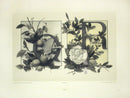 Gerlach & Schenk Antique Alphabet Floral Letters Q & R - Panteek Antique Prints
