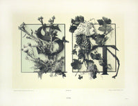 Gerlach & Schenk Antique Alphabet Floral Letters S & T - Panteek Antique Prints
