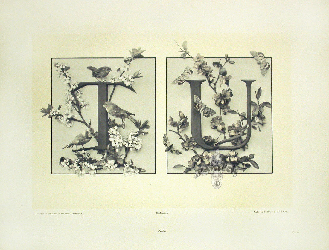Gerlach & Schenk Antique Alphabet Floral Letters T & U