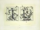 Gerlach & Schenk Antique Alphabet Floral Letters T & U - Panteek Antique Prints