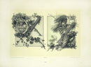 Gerlach & Schenk Antique Alphabet Floral Letters X & Z - Panteek Antique Prints