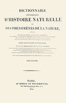 Guerin-Meneville Bird Title Page 1836 - Panteek Antique Prints