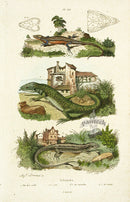 Guerin-Meneville Histoire Naturelle Reptile Original Print Lizards - Panteek Antique Prints