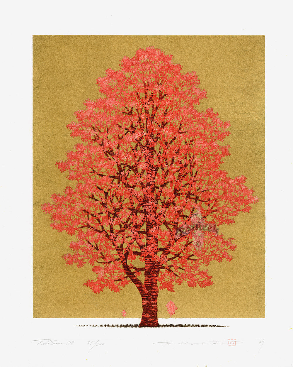 Hajime Namiki Tree Scene 138 85/200 2009