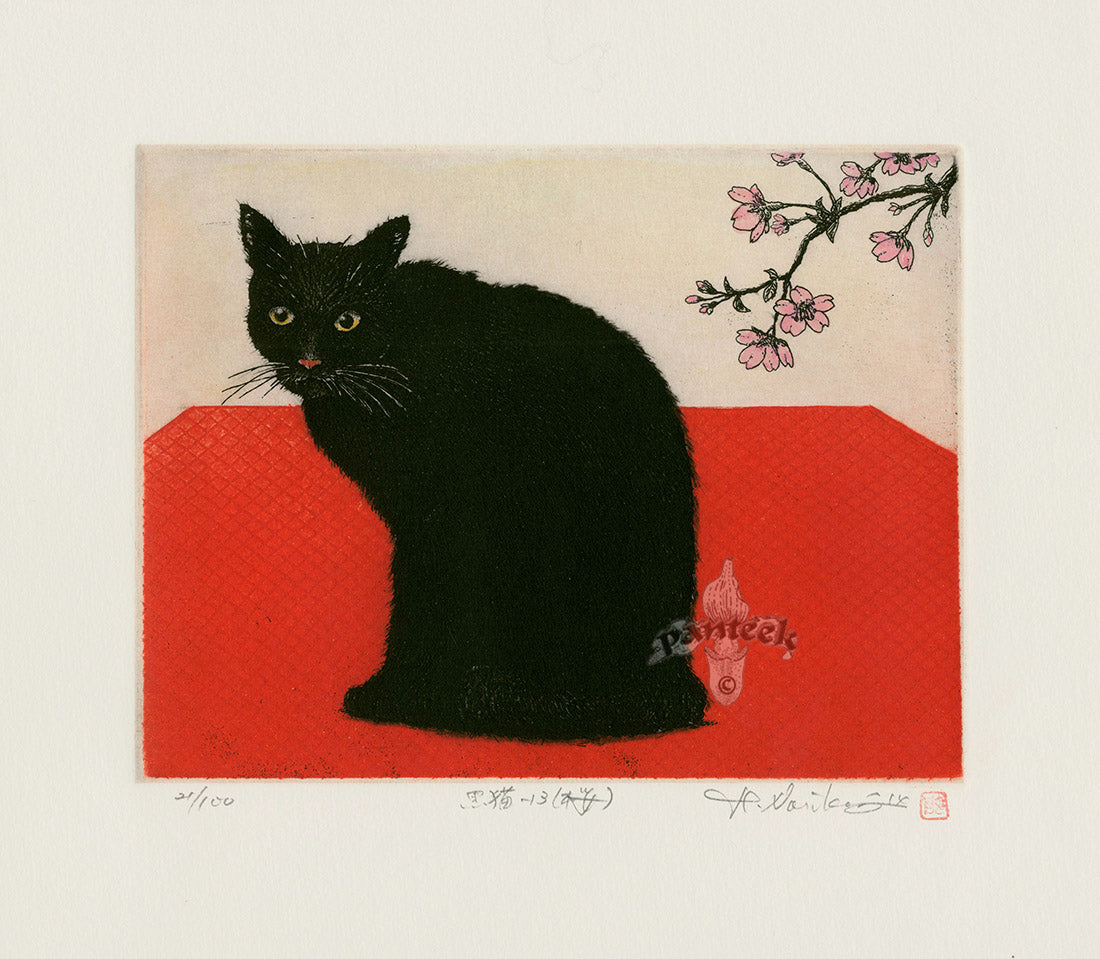 Hiroto Norikane Black Cat