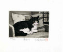 Hiroto Norikane Cat at the Window - Panteek Antique Prints